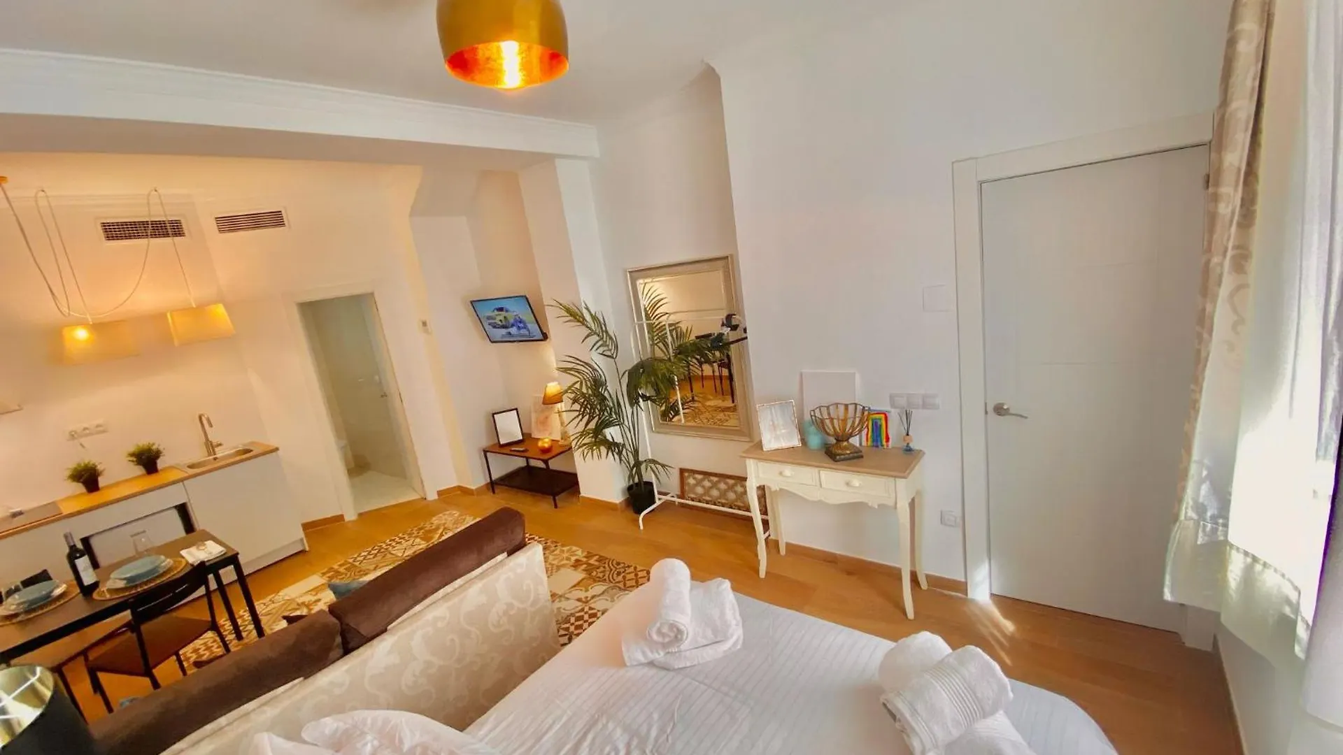 Loft Victoria Centro Historico Apartment Malaga